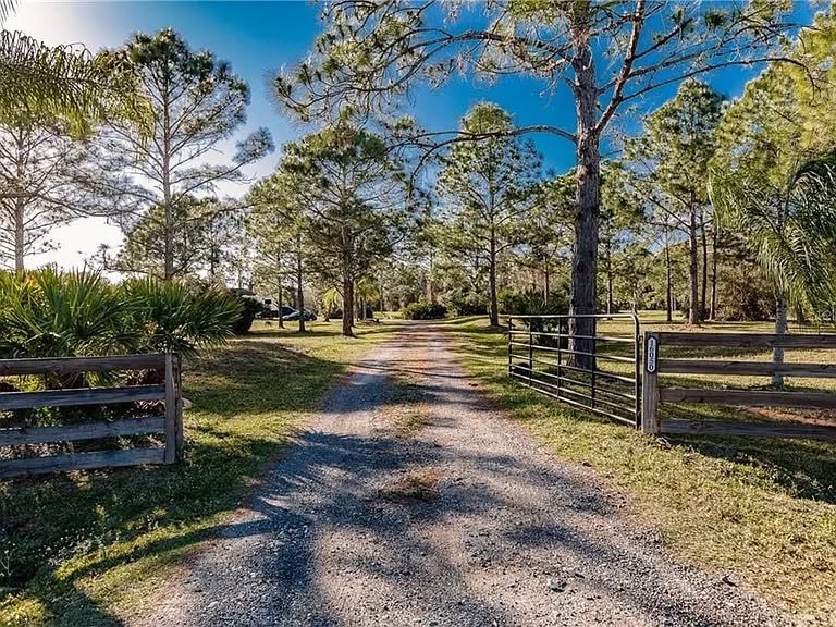Tree-lined gravel entrance to Little Red Barn Farms